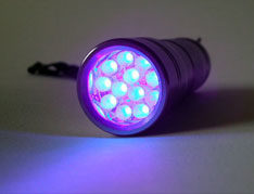 UV Blacklight Torch