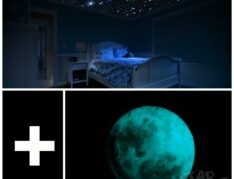Glow in the dark moon + star stickers kit