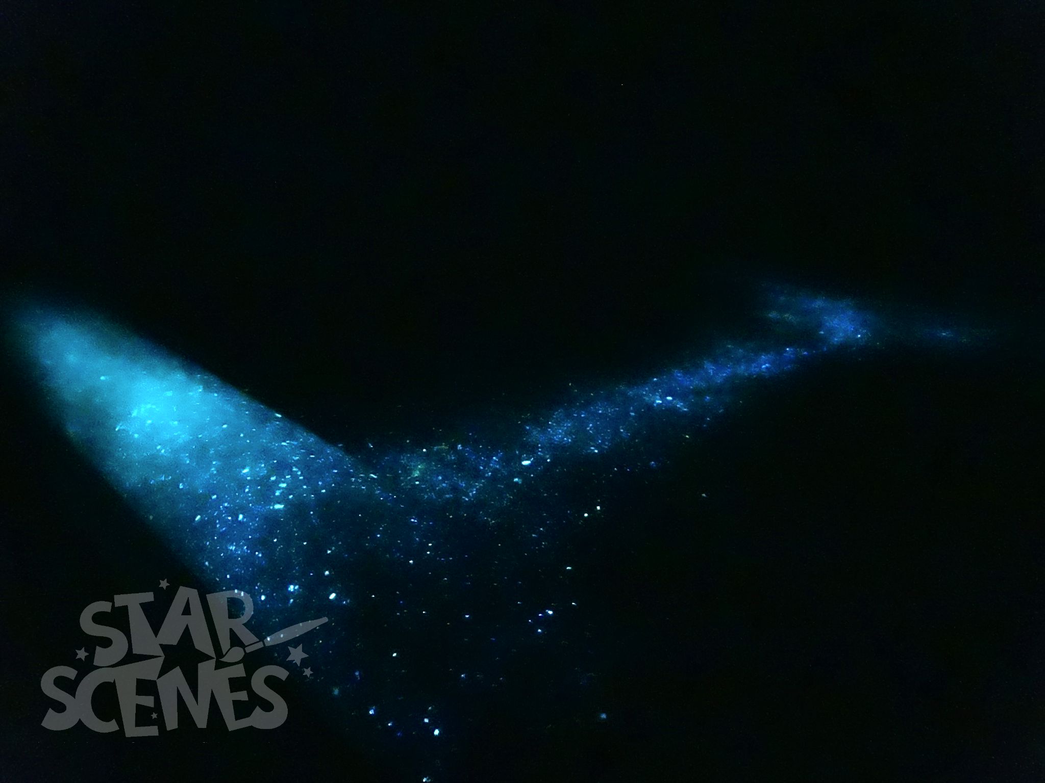 Glow in the dark milky way + stars + UV blacklight kit - Image 3